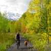 bicycler, dog in colored leaves